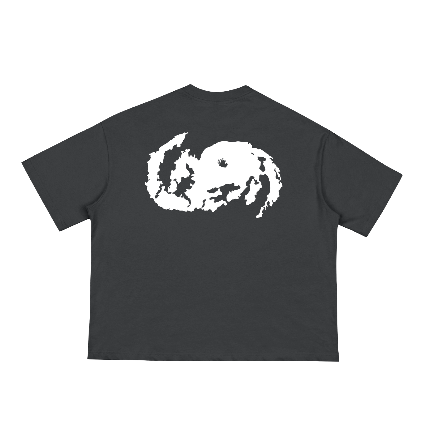 ºCYCLONE BOX T-SHIRTº